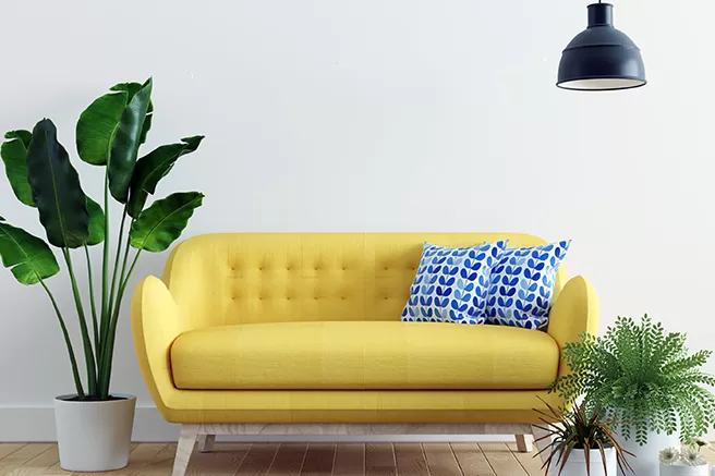 THỨC ĂN CHO CHÓ MÈO